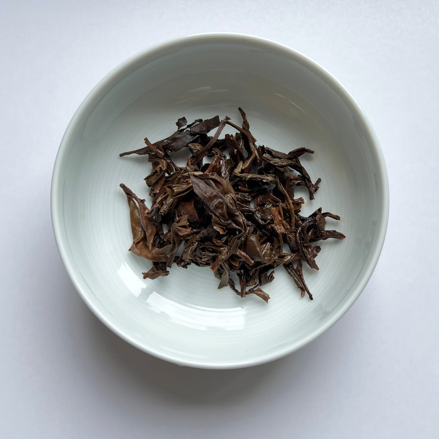 Arbor Raw (Sheng) Pu'er 喬木生普洱茶