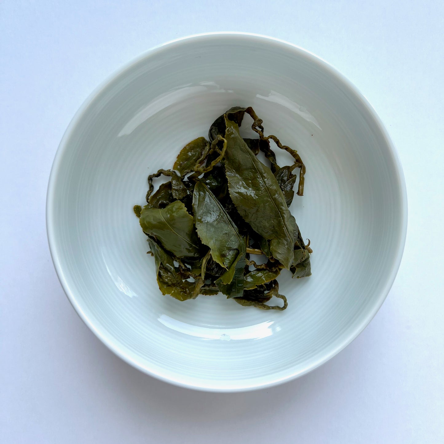 Alishan Osmanthus Jinxuan 阿里山桂花金萱